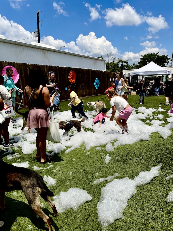 Pups and their humans slipping and sliding on soap bubbles at Cinco de Barko Houston