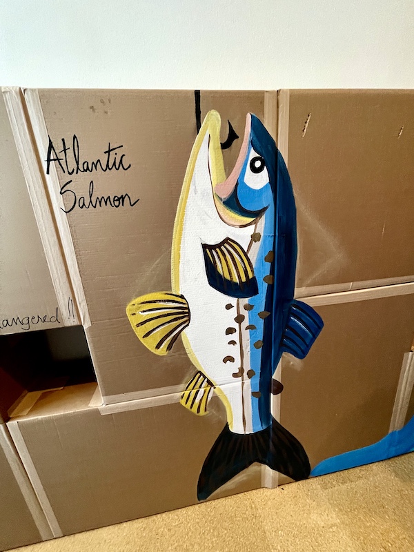 Mural of an Atlantic Salmon on cardboard at the Westmoreland Museum of American Art 2