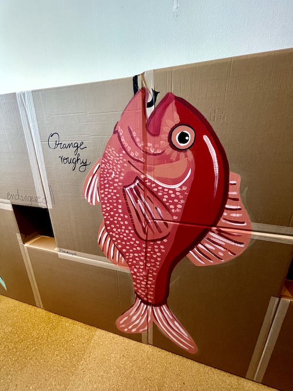 Mural of fish orange roughy painted on cardboard at Westmoreland Museum of American Art 2