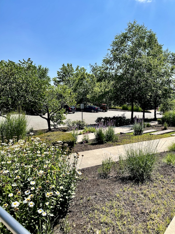 Beautiful flower beds form the gardens in front of the Westmoreland Museum of American Art