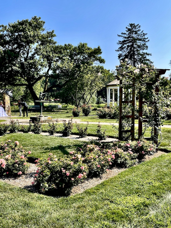 Roses of every color, lawn, gazebo and photoshoot in distance at Malcolm Gross Rose Garden