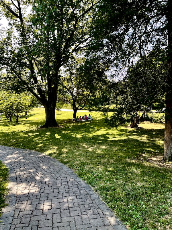 Large trees shade the lawn and garden path at the Malcolm Gross Rose Garden