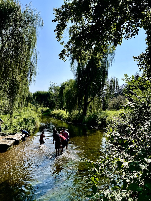 Group of children splashing in a stream at the Malcolm Gross Rose Garden