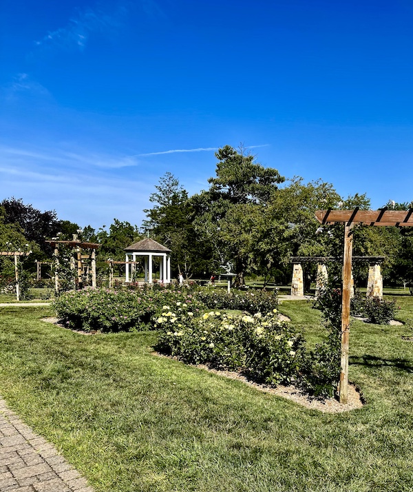 Rose beds, arbor, gazebo and trees along the garden path at the Malcolm Gross Rose Garden