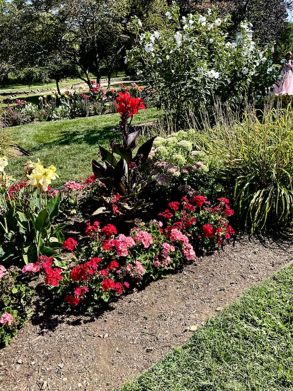 Tall red and yellow flowers with red and pink flowers below them at Malcolm Gross Rose Garden