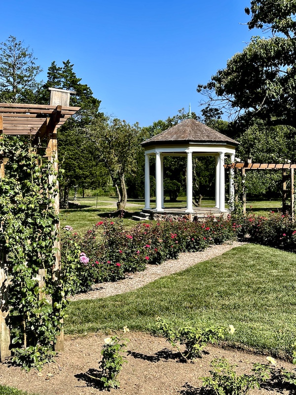 Bed of red roses, an arbor with climbing roses and a white gazebo at the Malcolm Gross Rose Garden