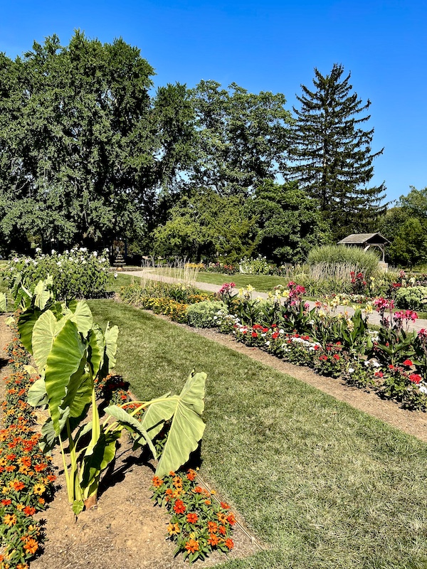 Beautiful formal garden with lawn and trees at Malcolm Gross Rose Garden