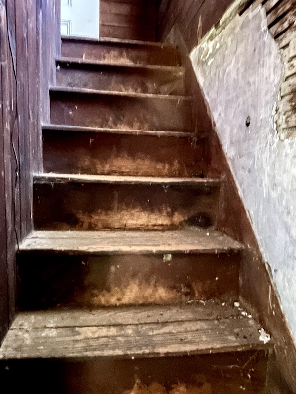 Very worn wood steps to the attic at Alliance Synagogue