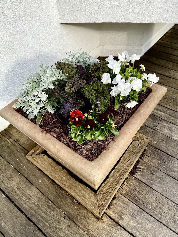 Square planter filled with flowering plants at the Pensacola Beach and Boardwalk
