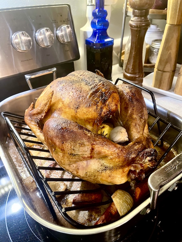 Roasted golden brown turkey on a rack in a pan sitting on the stove top for our Thanksgiving in March?