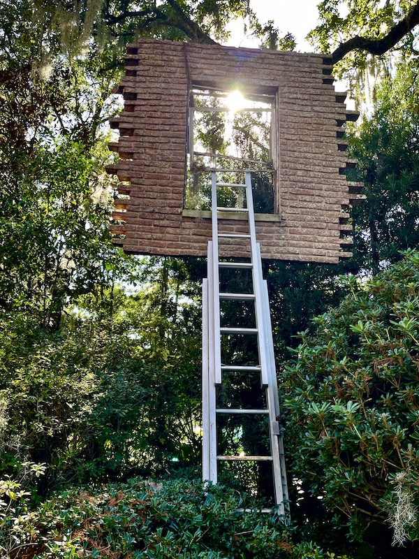 Extension ladder leads to a window open to view the tree beyond. Photo taken while Sharing Sculpture Garden with Friends