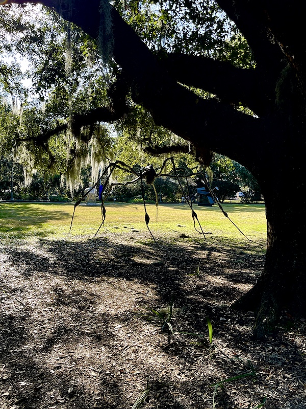 Giant spider made of bronze on the grass under a Live Oak tree seen while Sharing Sculpture Garden with Friends
