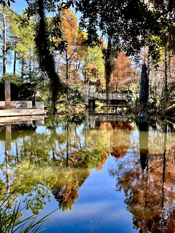 Trees with fall colors reflected in very still water take while Sharing Sculpture Garden with Friends