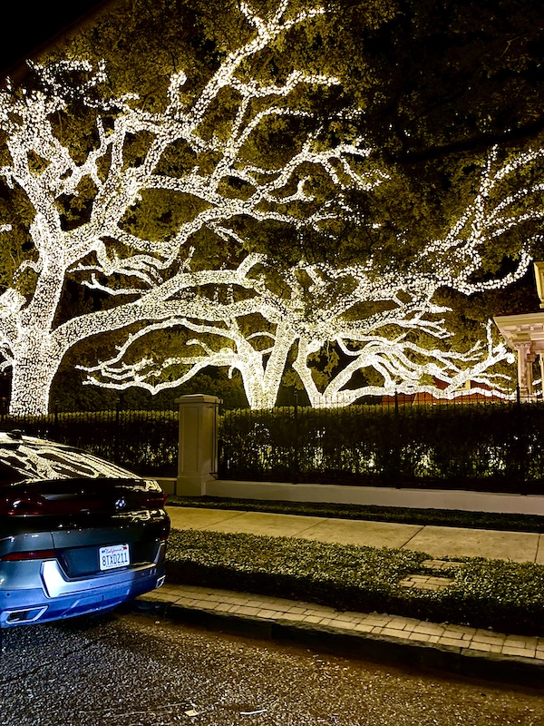 Large Live Oak trees completely covered in twinkle lights seen on our ride home from The Columns New Orleans