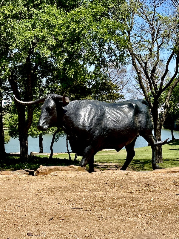 Bronze sculpture of a Texas Longhorn in front of trees along the river at Brazos Riverwalk Waco Texas