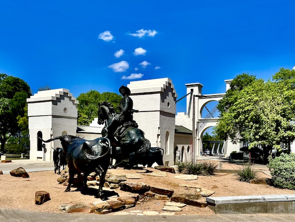 Sculptures of cowboy on horseback appears to drive cattle sculptures across the white suspension bridge at Brazos Riverwalk Waco Texas