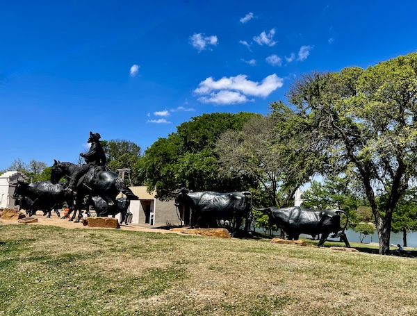 Bronze sculptures of Texas Longhorn cattle and a cowboy on a horse riding along what is known as the Brazos Riverwalk Waco Texas