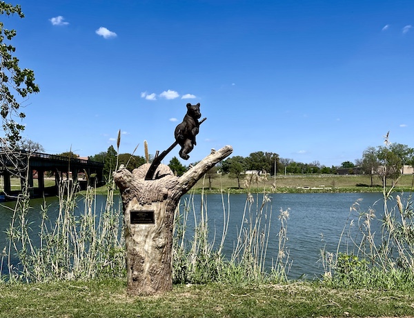 Bronze bear on a tree branch sculpture at Indian Springs Park Waco Texas