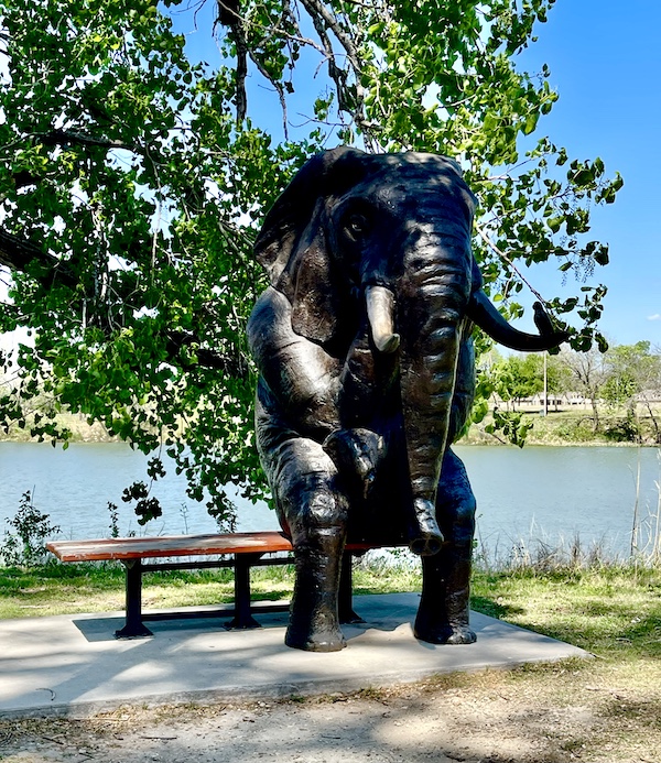 Bronze statue of an elephant sitting on a park bench at Indian Springs Park Waco Texas