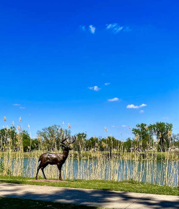 Bronze reindeer sculpture by the river at Indian Springs Park Waco Texas