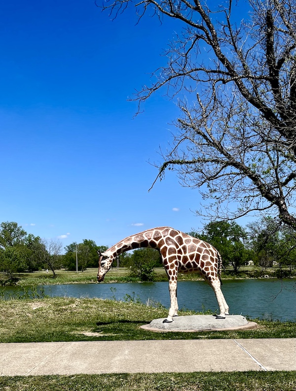 Painted giraffe sculpture at Indian Springs Park Waco Texas