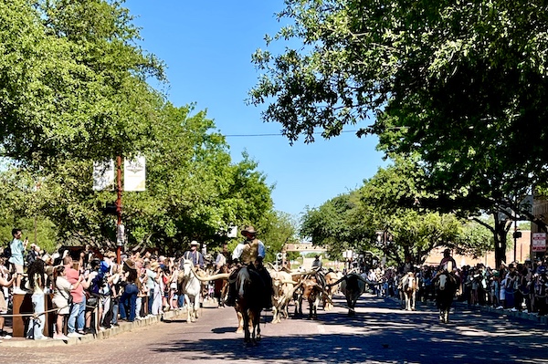 Cowboy on horseback leading the cattle drive at The Stockyards Fort Worth Texas