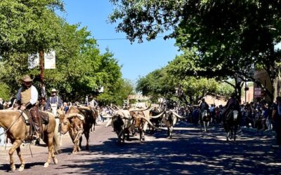 The Stockyards Fort Worth Texas