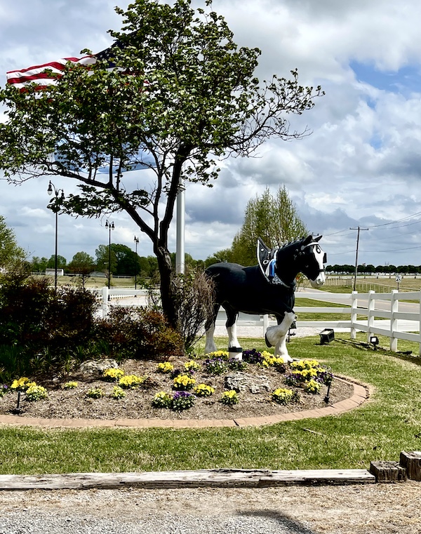 Life size sculpture of an Express Clydesdale in the garden circle in front of the barn at Express Clydesdales Yukon Oklahoma