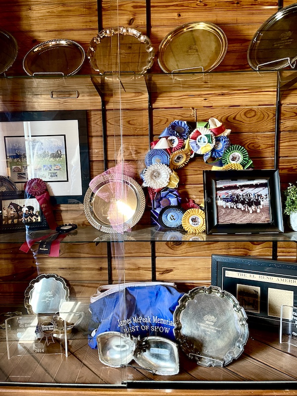 Display case at Express Clydesdales Yukon Oklahoma show off some of the awards the horses have won.