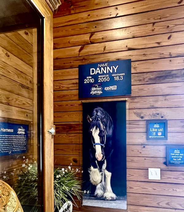 Picture and announcement of a new addition to Express Clydesdales Yukon Oklahoma named Danny